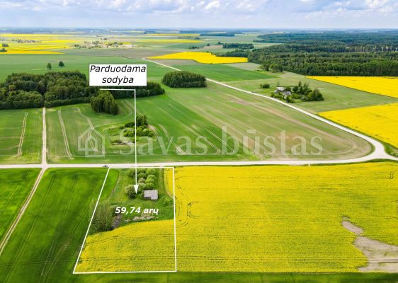 Parduodama sodyba su 59,74 arų namų valdos sklypu Aušrėnų k., Radviliškio r.